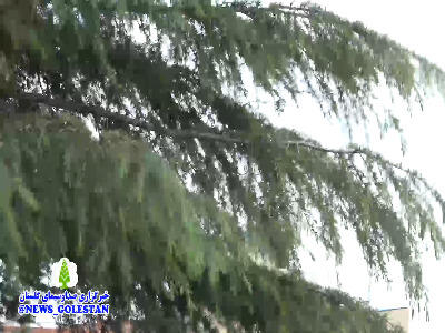 طوفان با سرعت ۸۰ کیلومتر گلستان را درنوردید