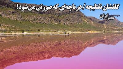 گلفشان نفتلیجه؛ دریاچه ای که صورتی می شود!