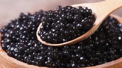 روش تهیه خاویار، گرانترین غذای دنیا