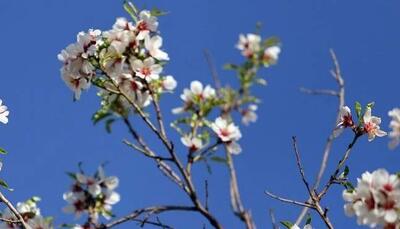 خروج سامانه بارشی و استقرار جوی پایدار در گیلان
