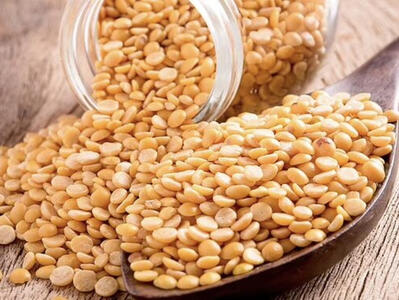 تولید 99 درصد لپه کشور در «آذرشهر»