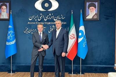 دیدار رییس سازمان انرژی اتمی با رافائل گروسی 
