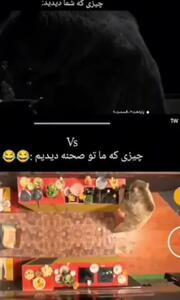 پشت‌صحنه خرس سریال پایتخت 7 + فیلم