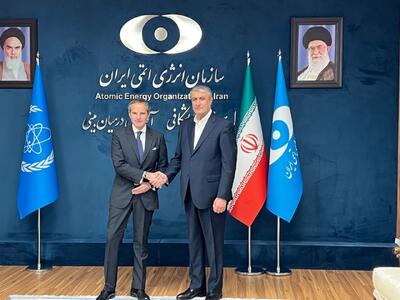 عکس/ دیدار رییس سازمان انرژی اتمی با رافائل گروسی | اقتصاد24