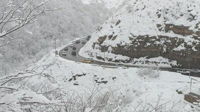 ببینید؛ تصاویری از بارش برف بهاری در چالوس