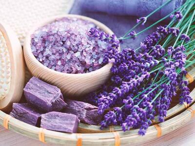 گیاهان دشمن استرس، چه گیاهانی هستند؟