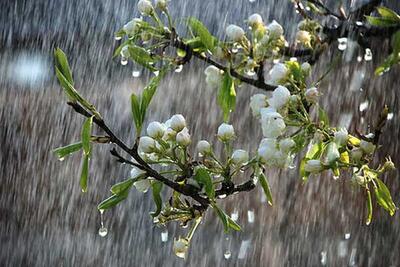 پیش بینی آب و هوای لرستان برای فردا جمعه 29 فروردین 1404