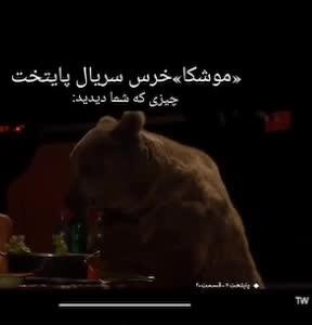 پشت صحنه خرس سریال پایتخت که بدون حضور بازیگران گرفته شده است