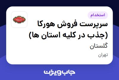 استخدام سرپرست فروش هورکا (جذب در کلیه استان ها) در گلستان
