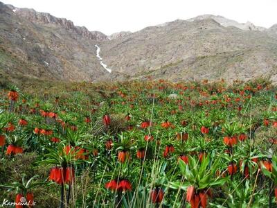 گلستان‌کوه بازگشایی می‌شود