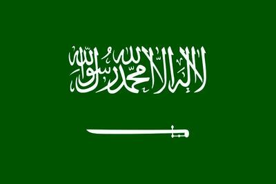 یک ایرانی سرمربی تیم ملی عربستان شد