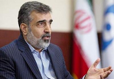کمالوندی: معاون گروسی به تهران می‌آید - تسنیم
