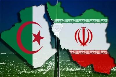 جزئیات موانع توسعه تجارت ایران و الجزایر/ منتظر تشکیل اتاق مشترک هستیم