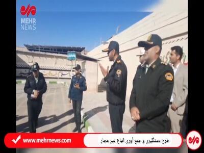 اجرای قاطعانه طرح جمع‌آوری اتباع غیرمجاز در ورامین
