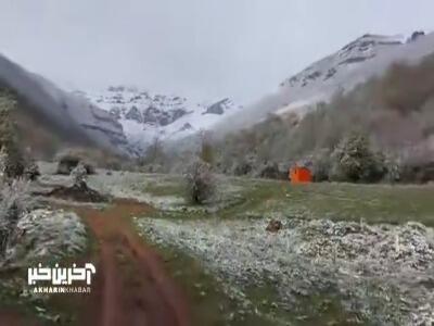 برف جنگل های هیرکانی را سفیدپوش کرد