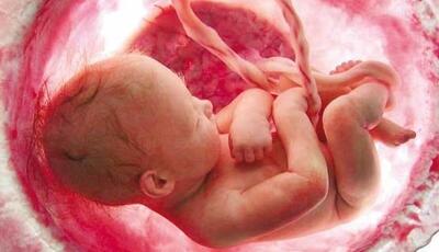 نقشه مخفی ویروس زیکا برای عبور از جفت جنین لو رفت!