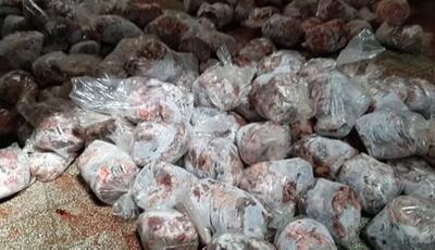معدوم‌سازی بیش از ۳۰ تن گوشت غیربهداشتی در ایلام