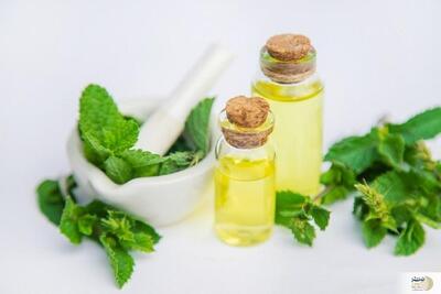 درمان سردرد و درد عضلات با فقط بوییدن این روغن گیاهی