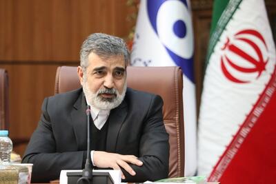 کمالوندی: معاون گروسی برای تداوم مذاکرات فنی به ایران سفر می‌کند