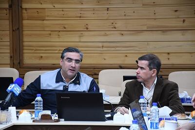 توسعه همکاری‌های مشترک گروه مپنا با گروه صنعتی ایران ترانسفو