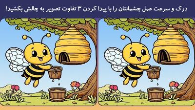 درک و سرعت عمل چشمانتان را با پیدا کردن 3 تفاوت تصویر به چالش بکشید!