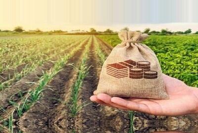 قیمت خرید تضمینی محصولات کشاورزی متناسب با تورم افزایش پیدا کند