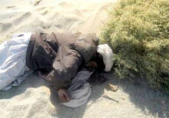 ولی محمد شه بخش به هلاکت رسید+ عکس
