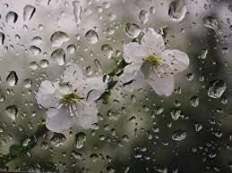 پیش بینی آب و هوای استان مرکزی و اراک فردا شنبه ۳۰ فروردین ۱۴۰۴