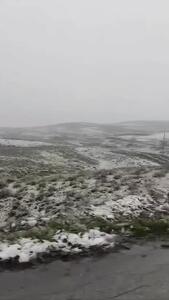 بارش برف در جاده دهبار طرقبه خراسان رضوی
