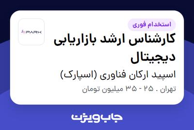 استخدام کارشناس ارشد بازاریابی دیجیتال در اسپید ارکان فناوری (اسپارک)