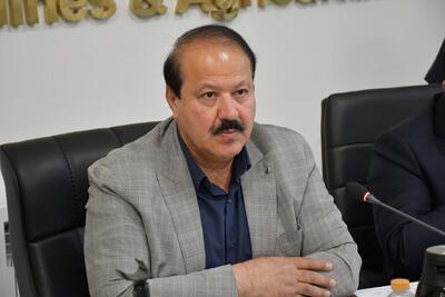 یوسفی: مشکلات اقتصادی گلستان با تصمیمات ملی و اراده استانی حل می‌شود