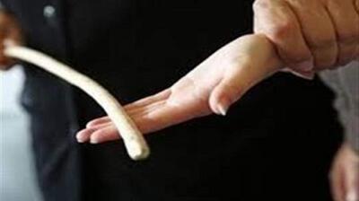میگنا - آزمون روانشناسی برای معلمان؛ آری یا نه؟
