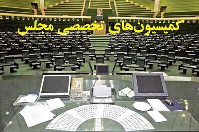 ۱۲ وزیر دولت در جلسات کمیسیون‌های مجلس حاضر می‌شوند