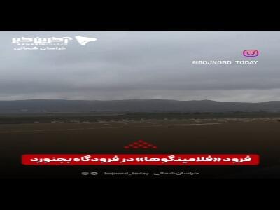 فرود «فلامینگوها» در فرودگاه بجنورد