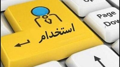 رئیس دانشگاه خلیج‌فارس بوشهر: ۴۰ نیروی بومی در آزمون استخدامی جذب شدند
