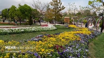هوای مشهد پاک است