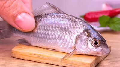 بهترین فیلم آشپزی مینیاتوری | طرز تهیه ماهی بخارپز مینیاتوری در مینی آشپزخانه!