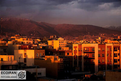 ممنوعیت جدید برای ثبت آگهی مسکن