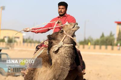 تصاویر: کورس شترسواری ـ شاهدیه یزد