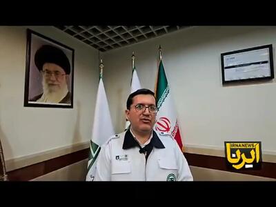 تکلیف تهران با موش ها پس از وقوع زلزله چیست؟ + فیلم