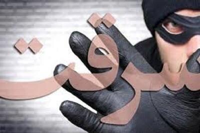 دستبند پلیس اسفراین بر دستان سارق کابل های چاه عمیق  