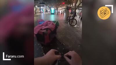 ببینید؛ مرگ دلخراش ده‌ها پرنده به دلیل برخورد به شیشه‌های فروشگاه اپل