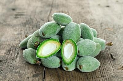 قیمت میوه در میادین تره‌بار؛ چغاله بادام کیلویی چند شد؟