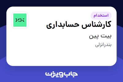 استخدام کارشناس حسابداری در بیت پین