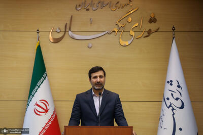 طحان نظیف: شورای نگهبان نسبت به CFT ایراد داشت نه درباره کنوانسیون پالرمو