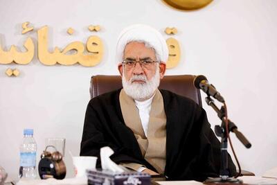منتظری: به دنبال اصلاح قانون برای کاهش ورودی پرونده هستیم