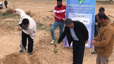 خیر قوچانی ۸۰۰ نهال اهدا کرد
