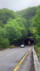 باران در تونل رویایی جاده شیرگاه، مازندران + فیلم