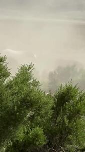 فیلم رهایی اسب‌ها در دشت باز