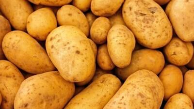 عرضه سیب زمینی بهاره تولید داخل در تمامی میادین و بازار‌های میوه و تره بار